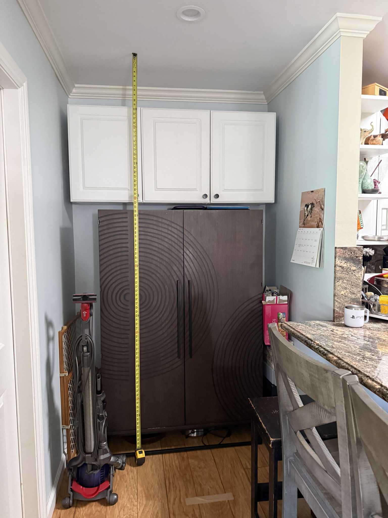 Custom Cat-Friendly Cabinet Upgrade — Before